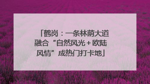 鹤岗：一条林荫大道融合“自然风光＋欧陆风情”成热门打卡地