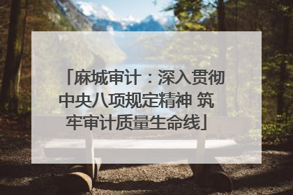 麻城审计：深入贯彻中央八项规定精神 筑牢审计质量生命线