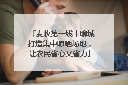 麦收第一线丨聊城打造集中晾晒场地，让农民省心又省力