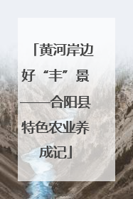 黄河岸边好“丰”景——合阳县特色农业养成记
