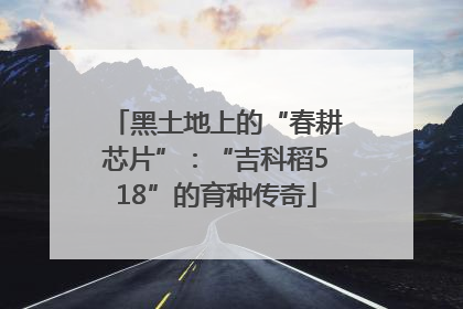 黑土地上的“春耕芯片”：“吉科稻518”的育种传奇