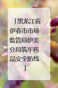 黑龙江省伊春市市场监管局伊美分局筑牢药品安全防线