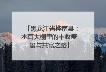 黑龙江省桦南县：木耳大棚里的丰收盛景与共富之路