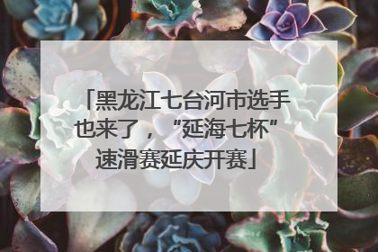 黑龙江七台河市选手也来了，“延海七杯”速滑赛延庆开赛