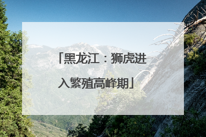 黑龙江：狮虎进入繁殖高峰期