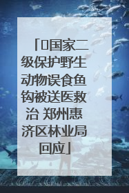 ﻿国家二级保护野生动物误食鱼钩被送医救治 郑州惠济区林业局回应