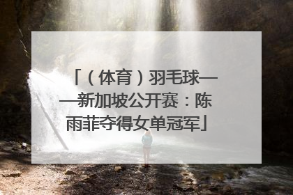 （体育）羽毛球——新加坡公开赛：陈雨菲夺得女单冠军