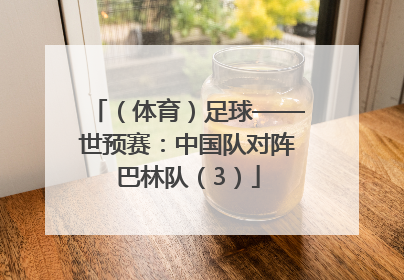 （体育）足球——世预赛：中国队对阵巴林队（3）