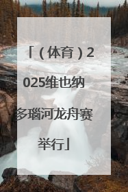 （体育）2025维也纳多瑙河龙舟赛举行