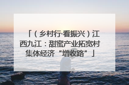 （乡村行·看振兴）江西九江：甜蜜产业拓宽村集体经济“增收路”