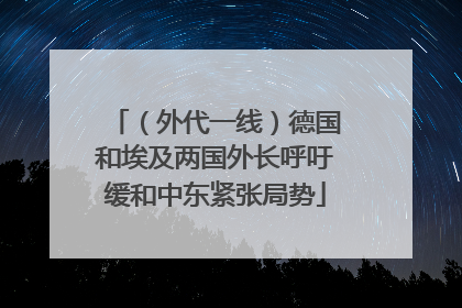 （外代一线）德国和埃及两国外长呼吁缓和中东紧张局势