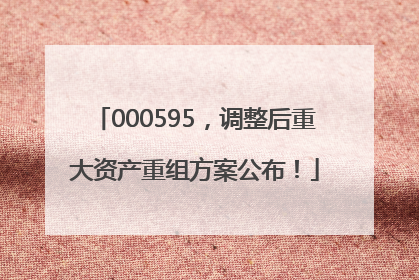 000595，调整后重大资产重组方案公布！