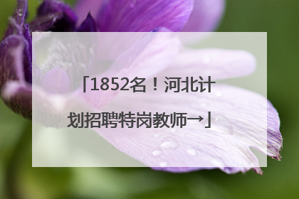 1852名！河北计划招聘特岗教师→