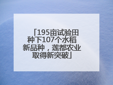 195亩试验田种下107个水稻新品种，莲都农业取得新突破