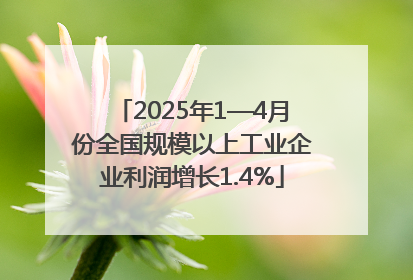 2025年1—4月份全国规模以上工业企业利润增长1.4%
