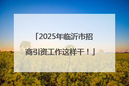 2025年临沂市招商引资工作这样干！