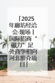 2025年廊坊经洽会·现场丨国际招商“磁力”足 外商争相向河北推介项目