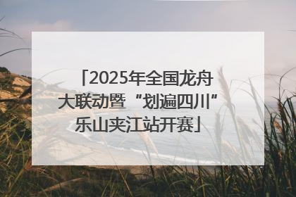 2025年全国龙舟大联动暨“划遍四川”乐山夹江站开赛