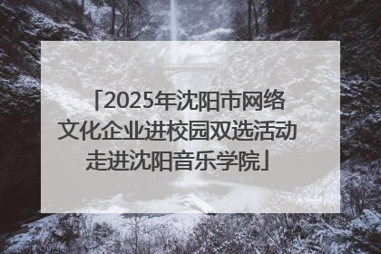2025年沈阳市网络文化企业进校园双选活动走进沈阳音乐学院