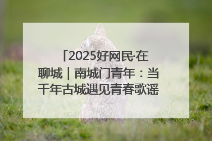 2025好网民·在聊城｜南城门青年：当千年古城遇见青春歌谣 一湖碧水见证的“聊城式浪漫”