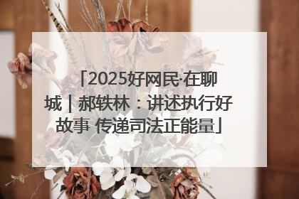 2025好网民·在聊城｜郝轶林：讲述执行好故事 传递司法正能量