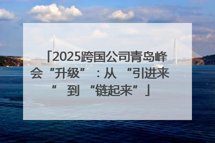2025跨国公司青岛峰会“升级”：从 “引进来” 到 “链起来”