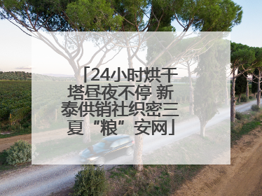 24小时烘干塔昼夜不停 新泰供销社织密三夏“粮”安网
