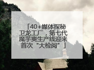 40+媒体探秘卫龙工厂，第七代魔芋爽生产线迎来首次“大检阅”