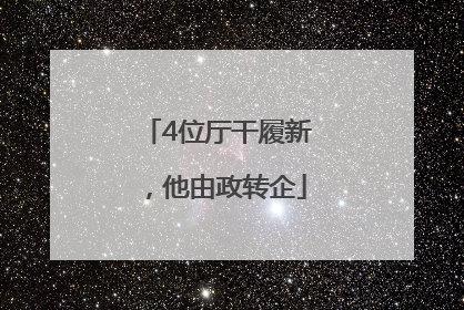 4位厅干履新，他由政转企