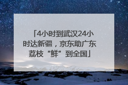 4小时到武汉24小时达新疆，京东助广东荔枝“鲜”到全国