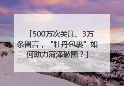 500万次关注、3万条留言，“牡丹包裹”如何助力菏泽破圈？