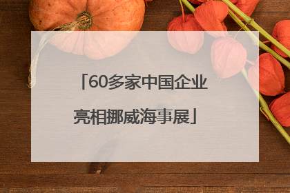 60多家中国企业亮相挪威海事展
