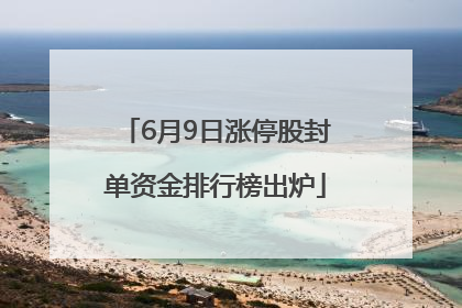 6月9日涨停股封单资金排行榜出炉