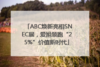 ABC焕新亮相SNEC展，爱旭领跑“25%”价值新时代