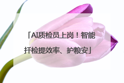 AI质检员上岗！智能扦检提效率、护粮安